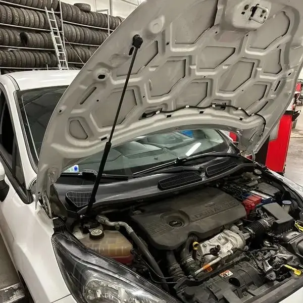 

Hood Struts for Ford Fiesta MK7 2012-2019 Front Bonnet Gas Springs Shock Absorbers Dampers Lift Supports 1PC