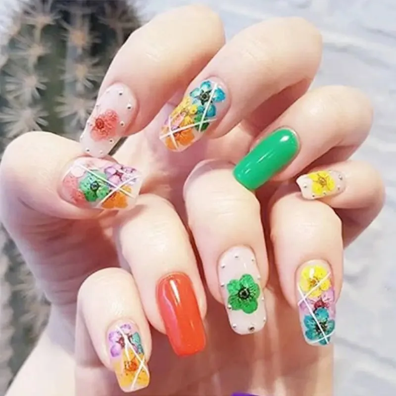 مجموعة أدوات حرفية الزهور الأبدية - إطار زهور مجففة، لوحة مروحة مستديرة، بطاقة تهنئة، فن الزهور المجففة المصنوعة يدويًا، زهرة حقيقية طبيعية #4