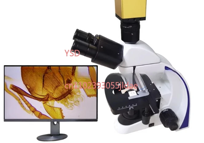 

New Research-Grade Infinity Trinocular Biological Microscope - Digital, with Optional Automatic Counting Function