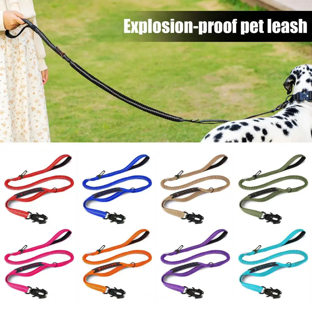 

Heavy Duty Dog Leash Reflective No Pull Lead Rope with Double Handle And Frog Clip Nylon Pet Leash for Medium Large Dogs