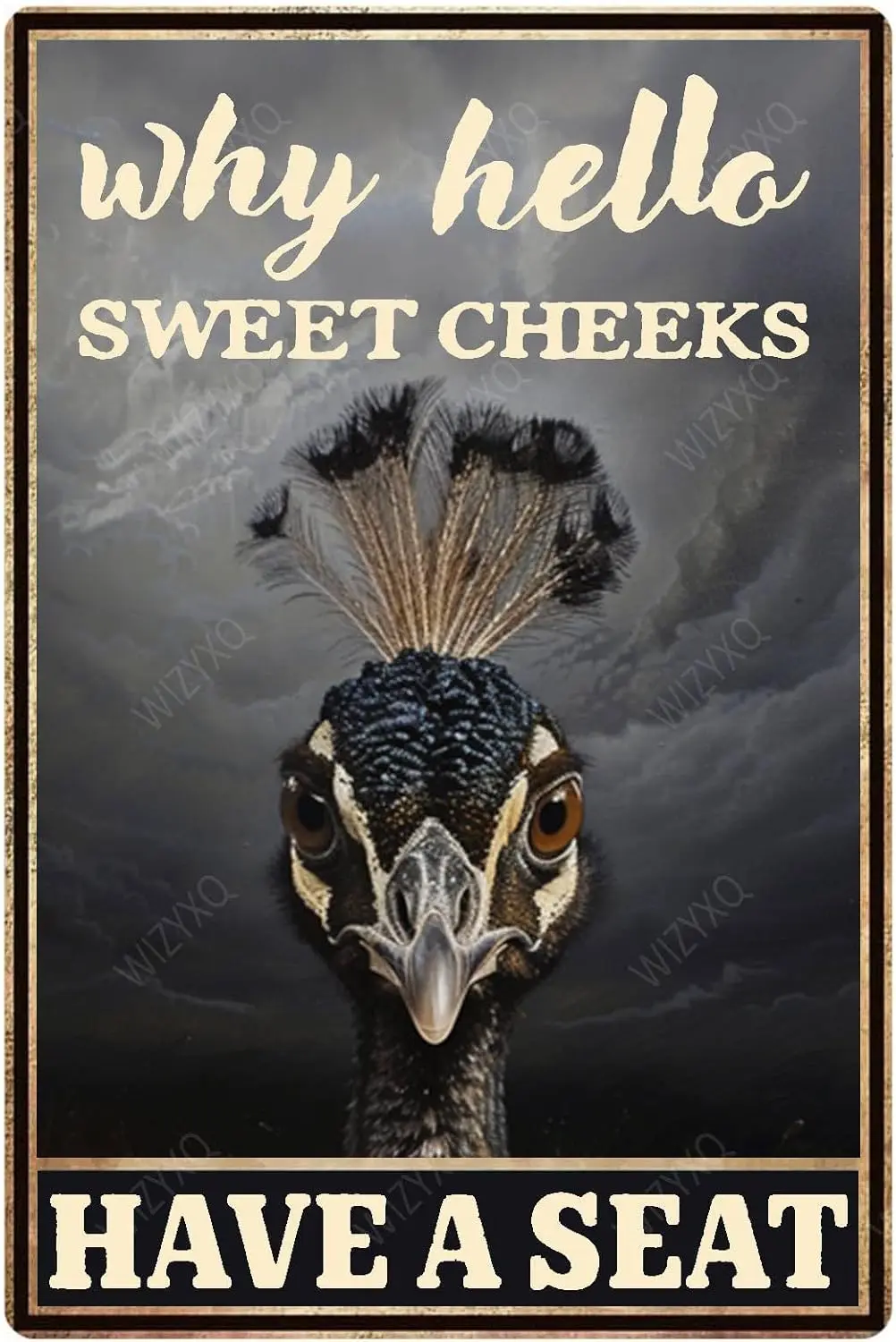 1p,Metal Signs Why Hello Sweet Cheeks Have A Peacock Sign Vintage  Tin Sign for Home Office Kitchen Bar Cafe Garden Wall Decor 1