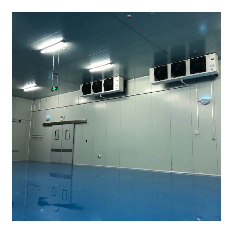 Caminar en la habitación fría Congelador Chambre Froide con puertas Unidad de refrigeración Almacenamiento en frío para supermercado y fábrica