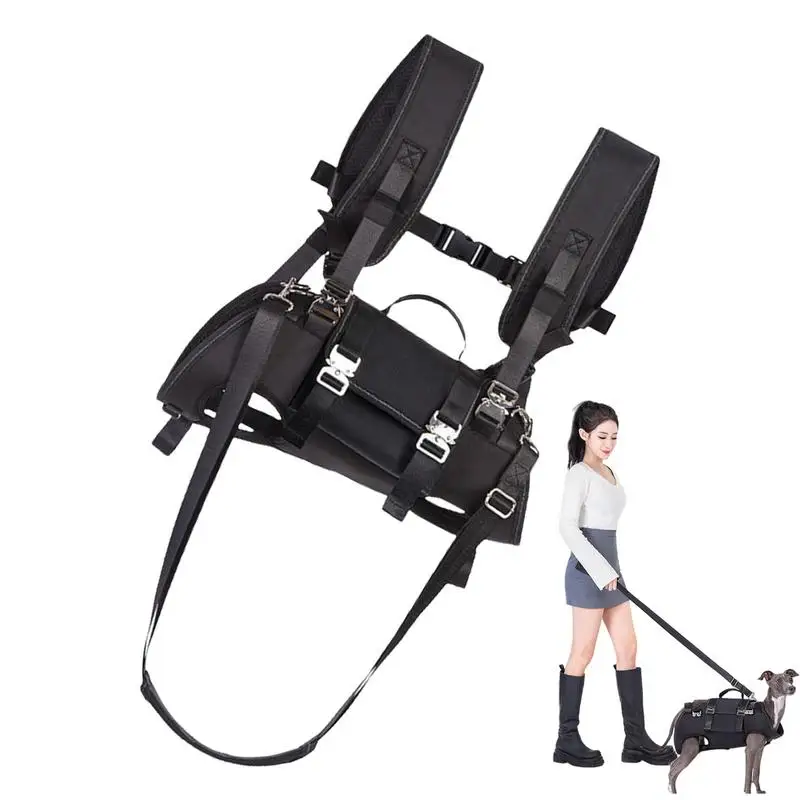 

Dog Lifting Harness Puppy Walking Aid Support Multi-Functional Shock Absorbing Dog Lift Harness For Training Recovery Puppy