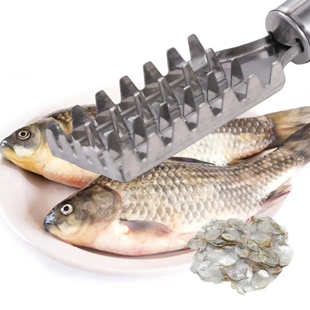 Stainless Steel Fish Scale Remover Rectangular Head Anti-rust Fish Scale Cleaner Labor-saving Fish Scale Scraper Restaurant