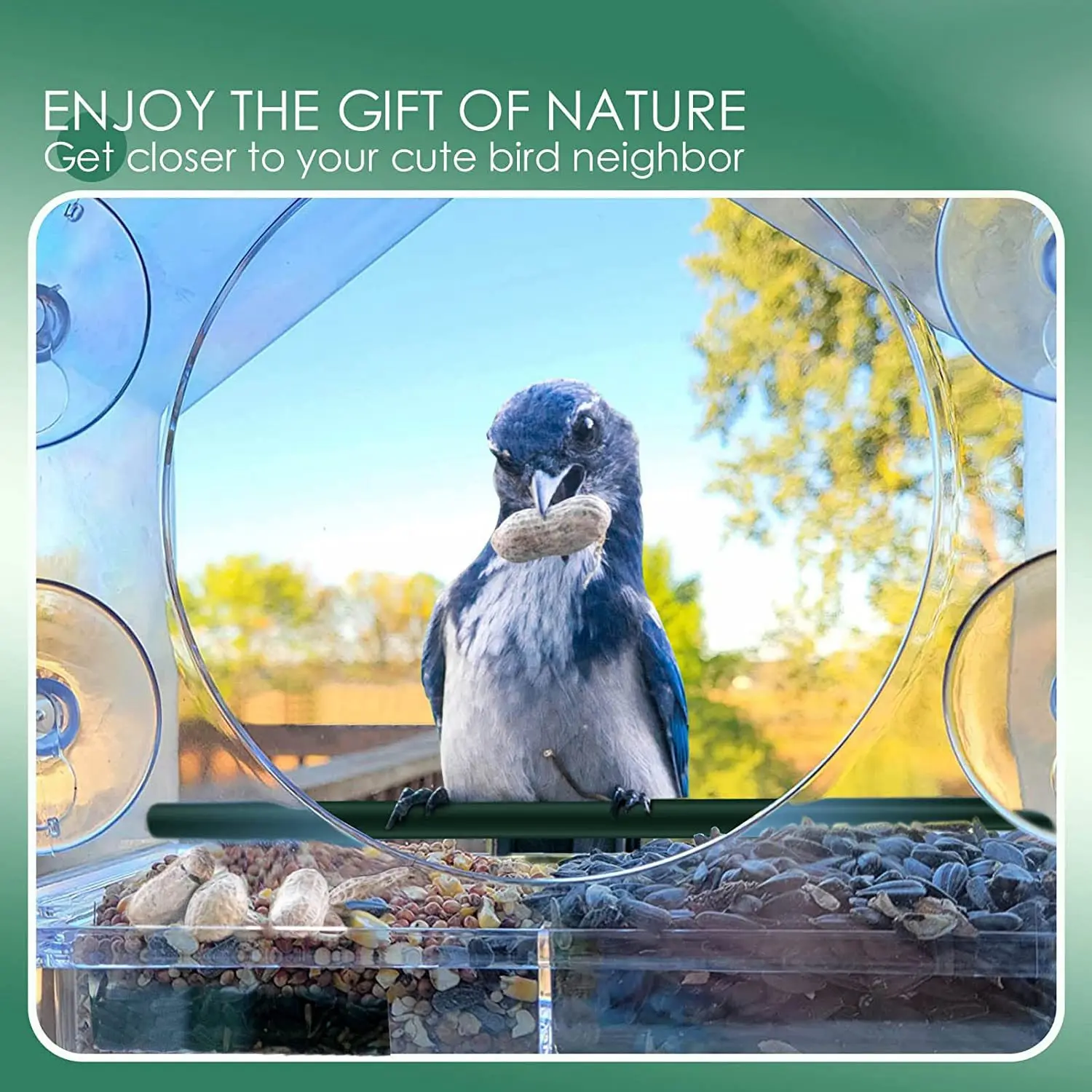 ABRN-Window Bird Feeder For Outside With Strong Suction Cups, Fits For Cardinals, Finches, Chickadees Etc