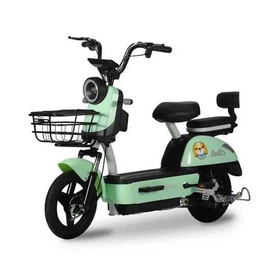 

Electric Car with Two Wheel, Mini City Dirt Electric Bike Cheap Adult Electric-Bike Great Electric-Motorcycle Electric Scooter