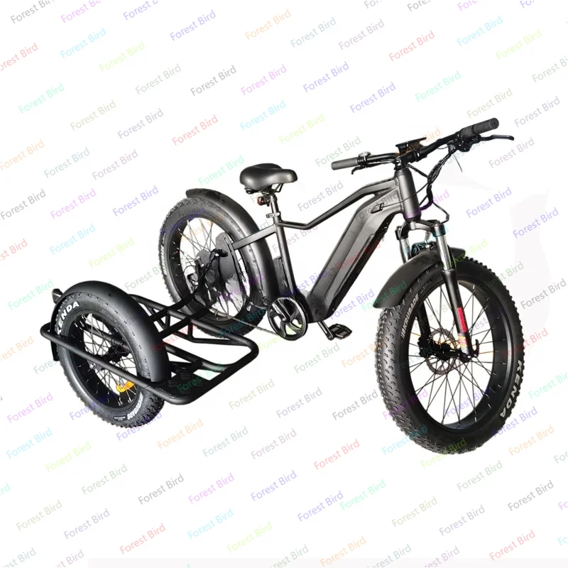 750w ukryta bateria litowa Etrike wózek boczny rower boczny samochód dla dorosłych elektryczny rower trójkołowy 3 koła Ebike elektryczny ładunek