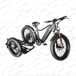 750w ukryta bateria litowa Etrike wózek boczny rower boczny samochód dla dorosłych elektryczny rower trójkołowy 3 koła Ebike elektryczny ładunek Trike