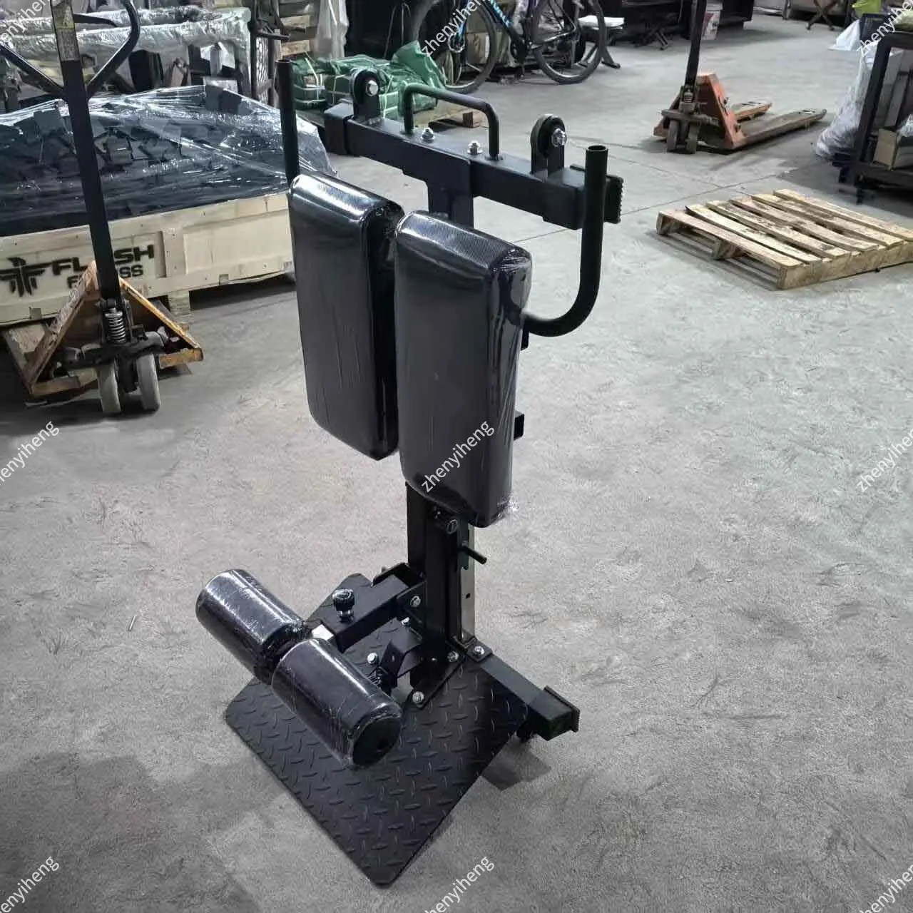 

Nordic Bench Gym Equipment Hot Selling Roman Chair High Quality Bodybuilding Professional Exercise Bench