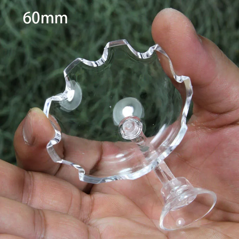 Aquarium Feeding Tray Clear Fish Shrimp Food Feeder Tube Dish Shrimp Bowl Feeding Ring Fish Tank Decoration Accessories