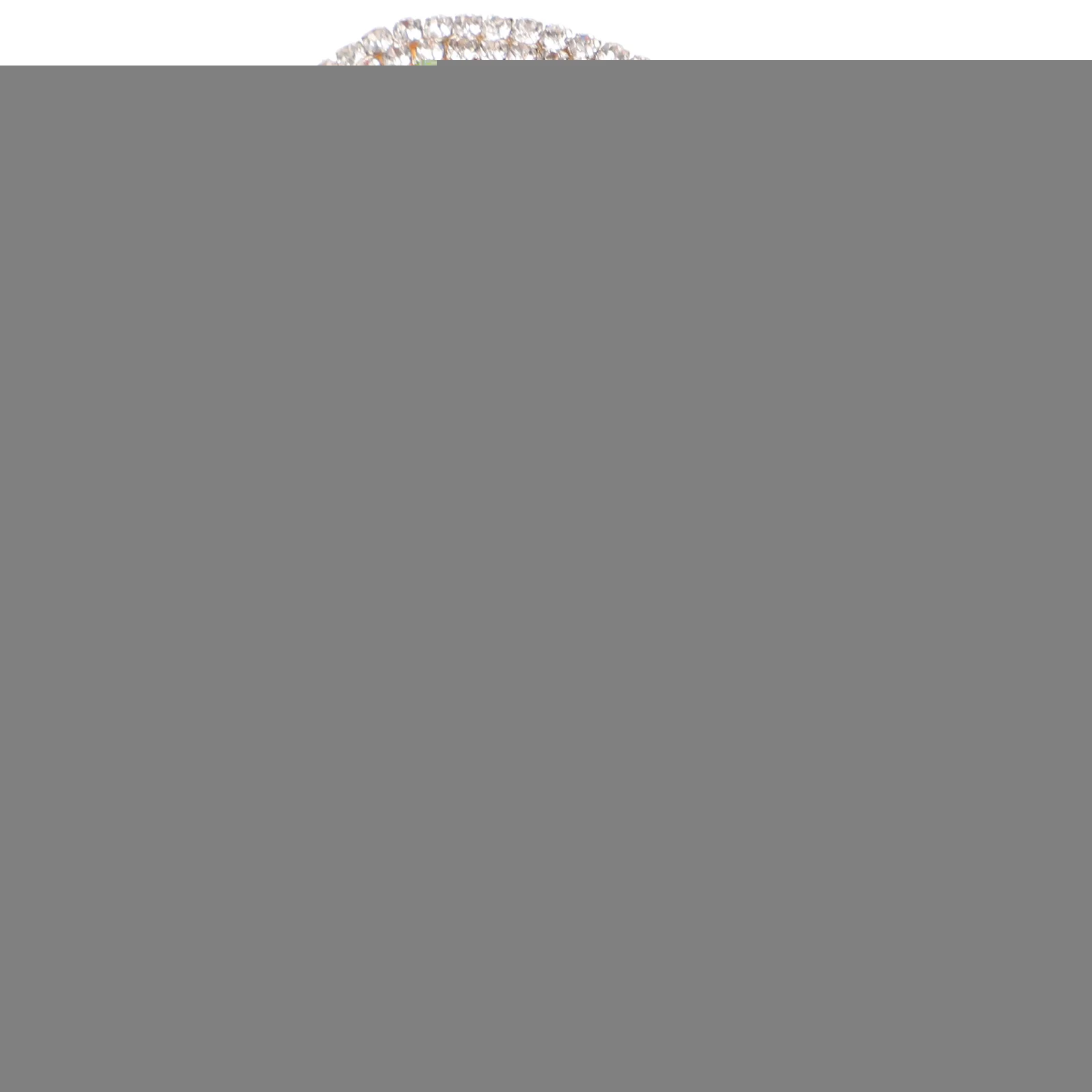 

Elegant Rhinestone Jaw Clip Large Hair Rhinestone Headdress Grip Brown Headdress Durable Easy Christmas Gifts
