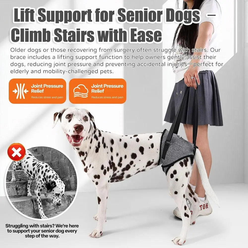 حزام دعم للكلاب الكبيرة ذات الأرجل الخلفية الضعيفة: يساعد على رقعة العضلات وقضايا المفاصل وإعادة التأهيل #6