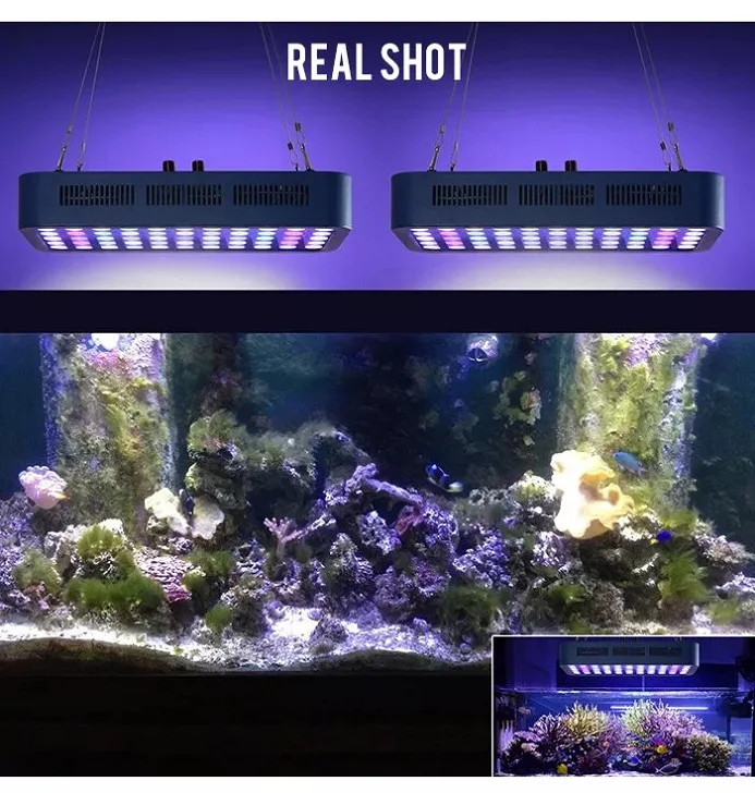 Imagem -06 - Bluetooth Wifi Coral Reef Led Light Luz Regulável para Aquário Aquário Regulável Canais Modelos 165w