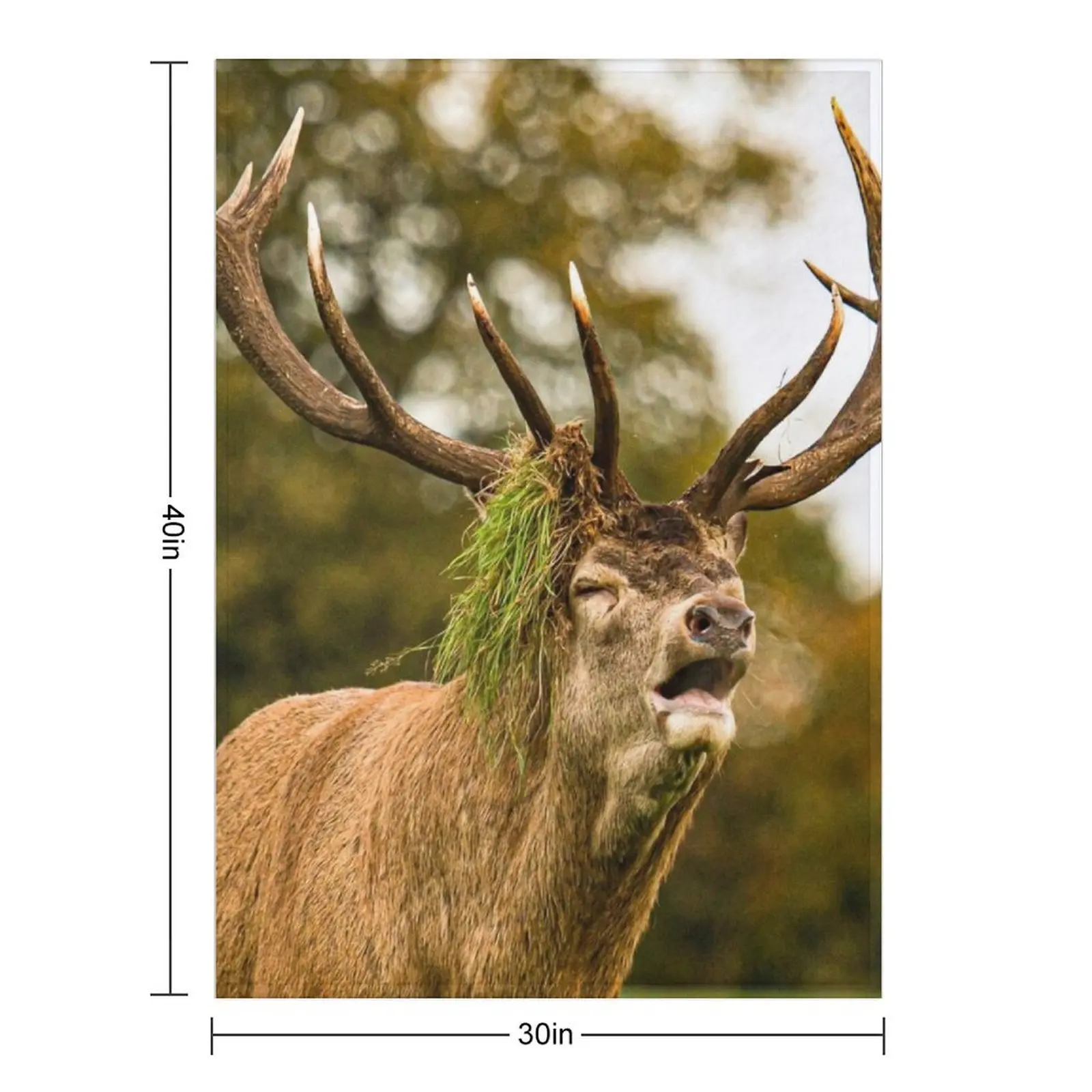 The winner deer Throw Blanket For Baby Thins Personalized Gift For Sofa Thin Blankets
