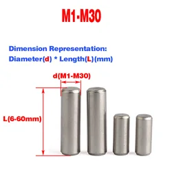 Bearing Steel Needle Roller Locating Pin / Cylindrical Pin M1-M20