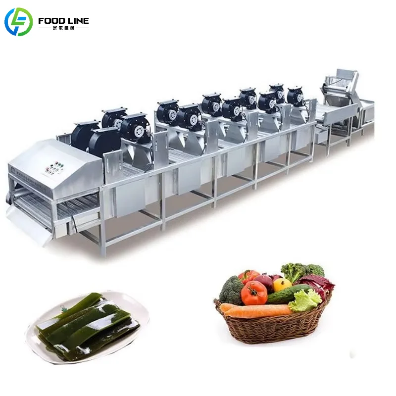 

Customized Industrial Fruit and Vegetable Drying Conveyor Belt Multi-Fan Air Dryer Commercial Conveyor Equipment