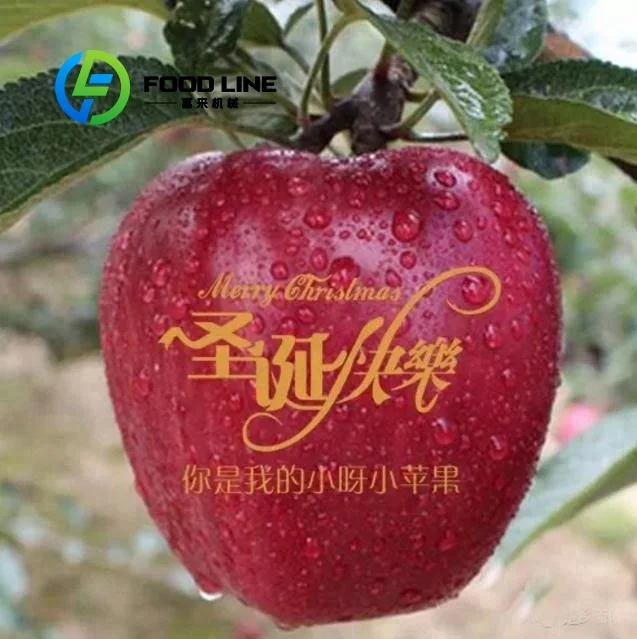Customize DIY Apple Printing Machine Edible Creative Fruit Printer With Food Grade Ink