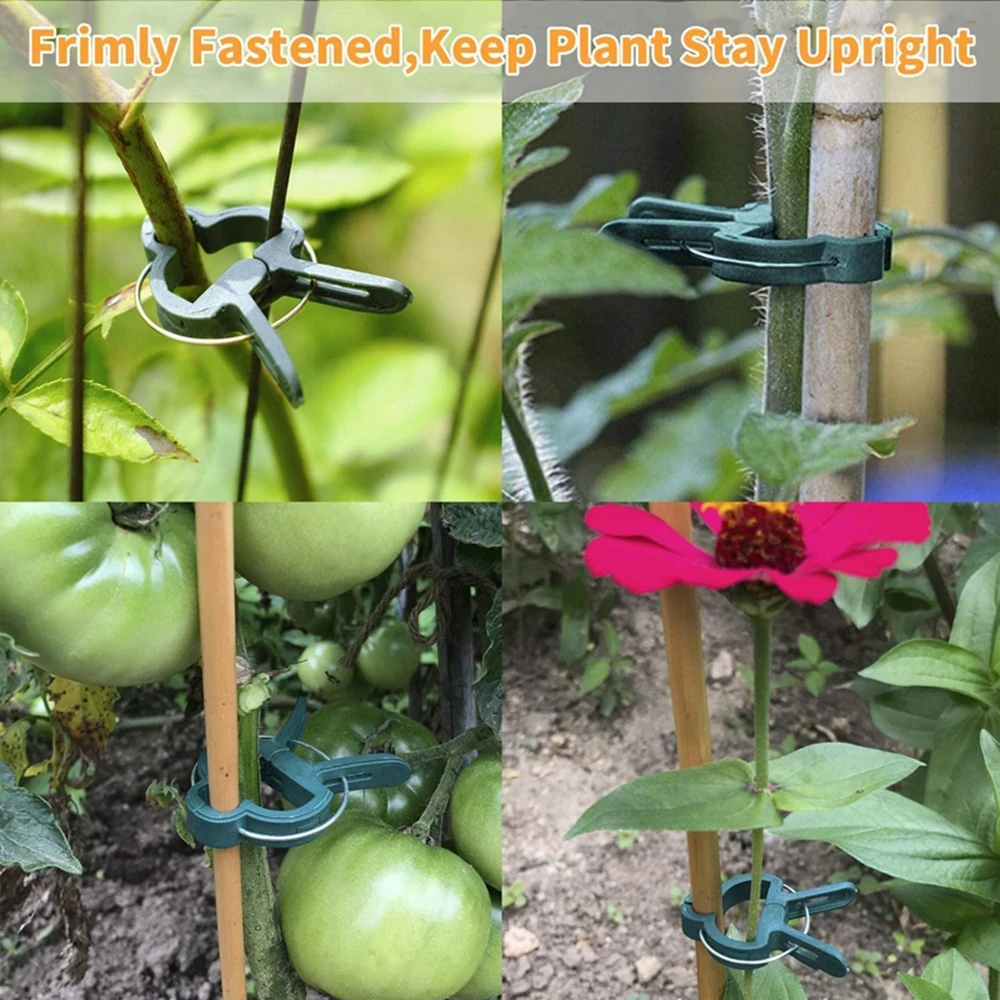 Plastic Tied Branch Clamping Planting Stem Fastener Vine Support Plant Fixed Clamp Garden Tool Support Clips Farm Supplies