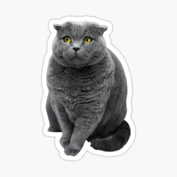 Creative British Shorthair Cat Pets PVC Personalized Sticker Decorate for Car Fridge Van Door Wall Window Decal Accessories