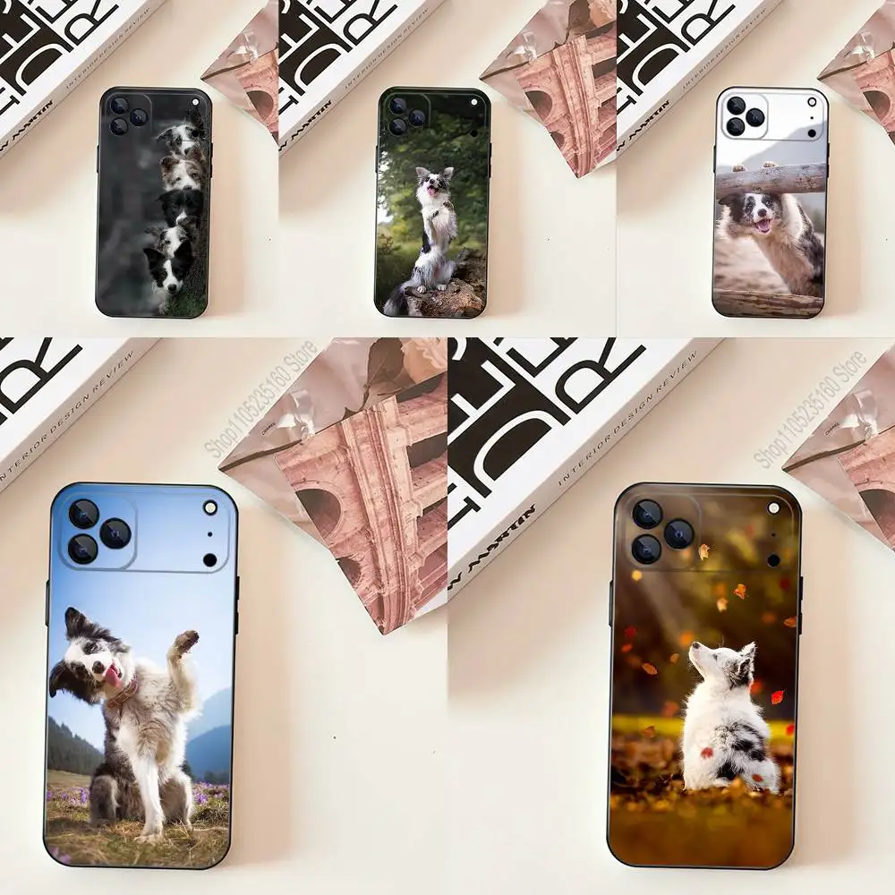 

Чехол для телефона Border C-Collie Dog для iPhone 17,16,15,14,13,12,11,Pro,Max,Plus,E,SE4,Air,Mini Black Precise Hole Matching