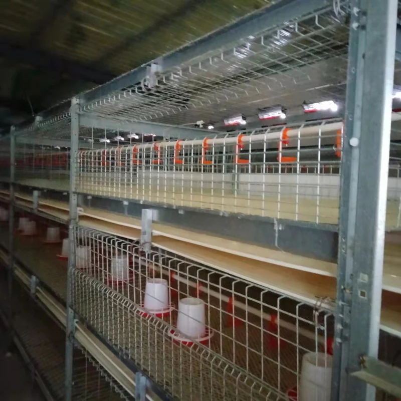 

Frame Broiler Cage Fully Automatic Vertical Hot-Dip Galvanized Wire Chicken Cage Automatic Manure Cleaning Picking Chicken B
