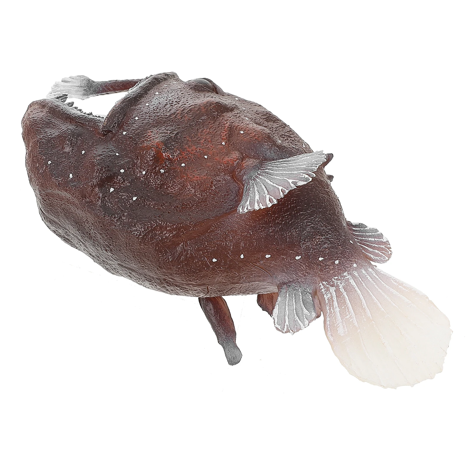 Miniature di Animali Marini in Plastica Solida, Creature Realistiche delle Profondità Marine, Gioco Educativo di Biologia Marina per Feste