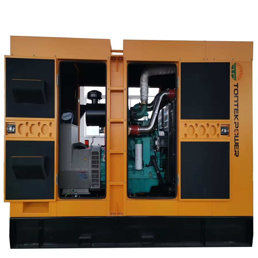 High Efficiency 250kw Silent Generator 313kva with ATS Auto Start 50/60hz Frequency 1500rpm Speed Direct Factory 1 Phase