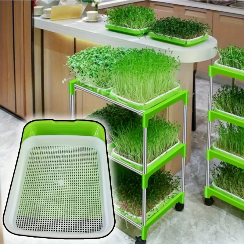 

Rapid Germination Seed Pot Set, Modern Grid Plastic Trays for Efficient Plant Growth - Suitable for Peas Beans,Wheat, and Herbs