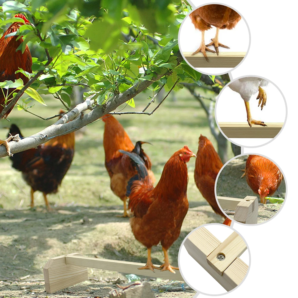 

Parrot Perch High Quality Wood St Toy Safe Eco Friendly No Burrs Easy Installation Birdcage Platform Pet Chicken Toy Branch
