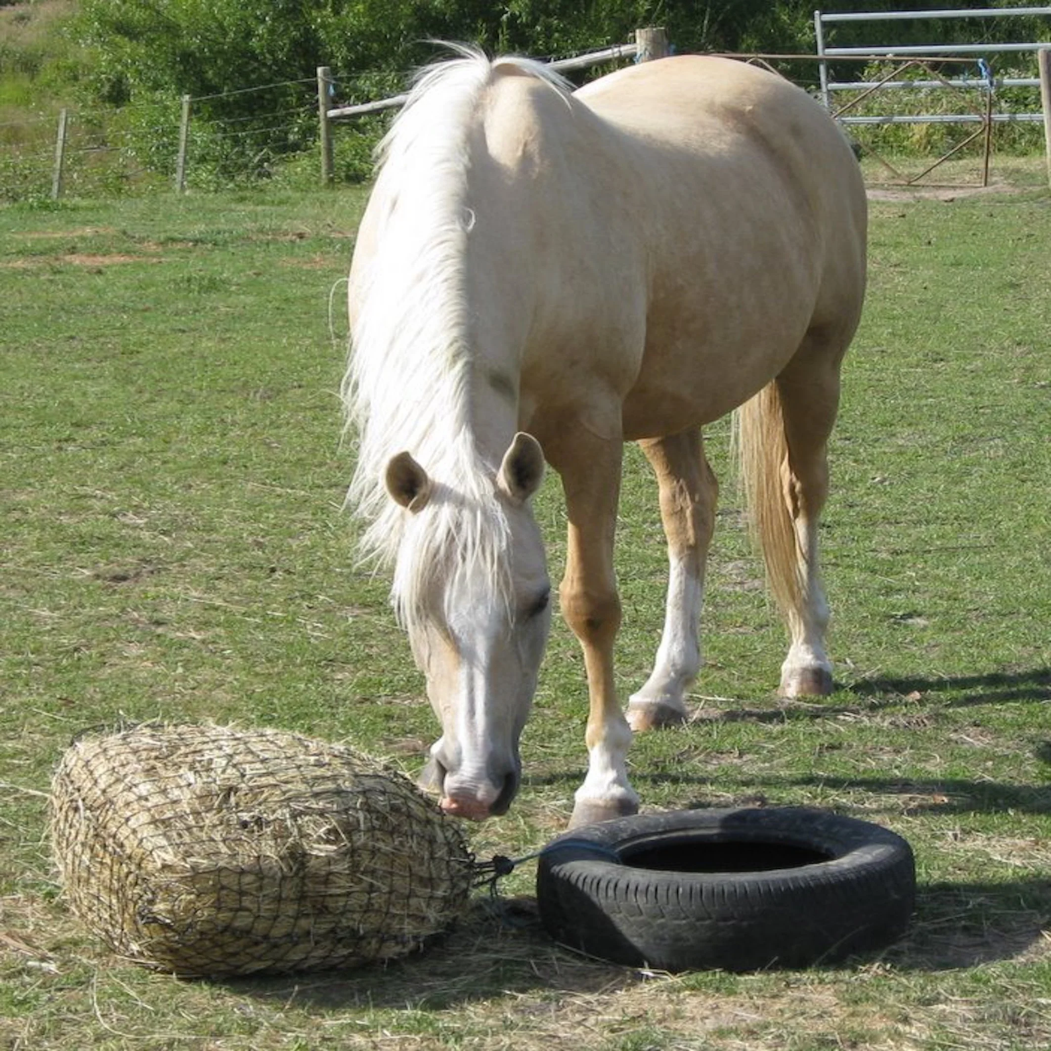 100% بوليستر شبكة قش ذات تغذية بطيئة 4 × 3 قدم 1.5 بوصة شبكة حصان سيلج بالة #3