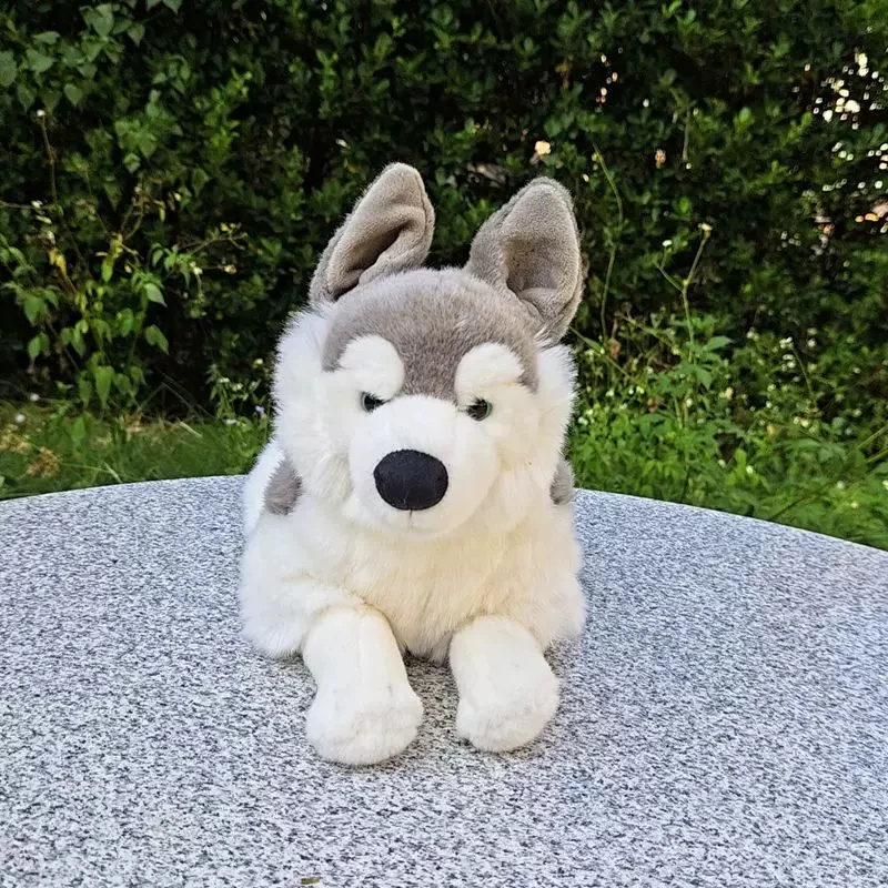 

Simulation Animal Siberian Husky Plush Toy Cute Soft Husky Puppy Stuffed Doll Animals Decoration Gift 40cm DY10448