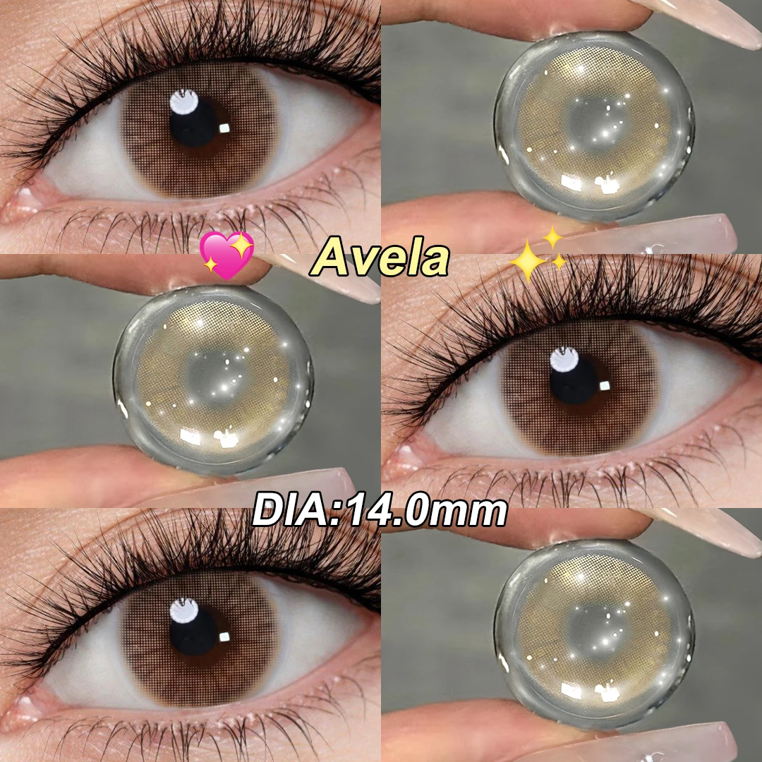 Magister Queen Avela lentilles de contact colorées lentille de couleur chaude usage quotidien lentille de contact Mel/Ochre/Graphite/Amber 14.0mm 6 mois
