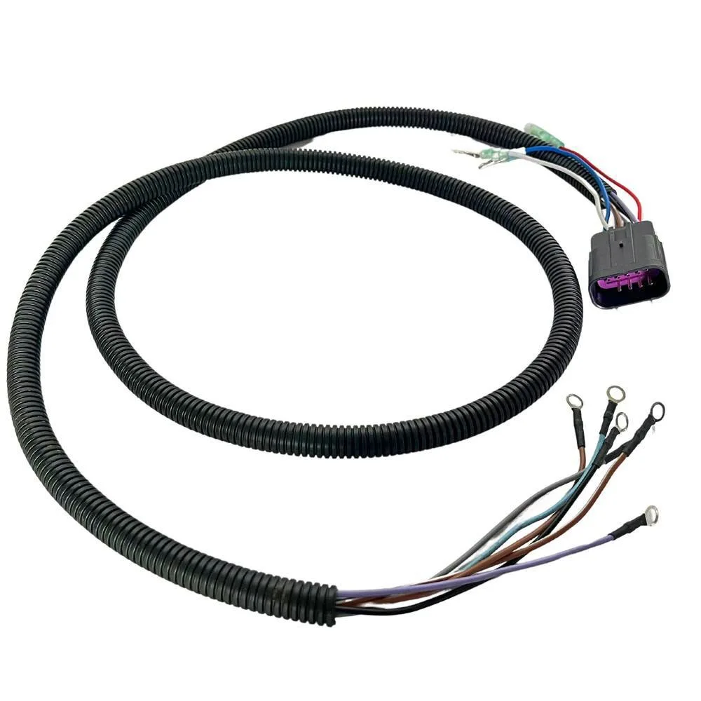 ArnéS Cables De Acc… - image