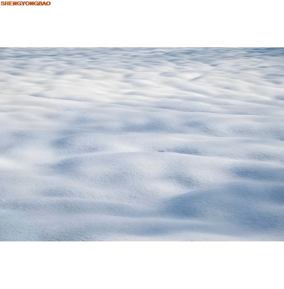 

Winter Snowfield Backdrop Christmas Party Kid Family Portrait Interior Room Floor Decor Photography Background Decor Photostudio