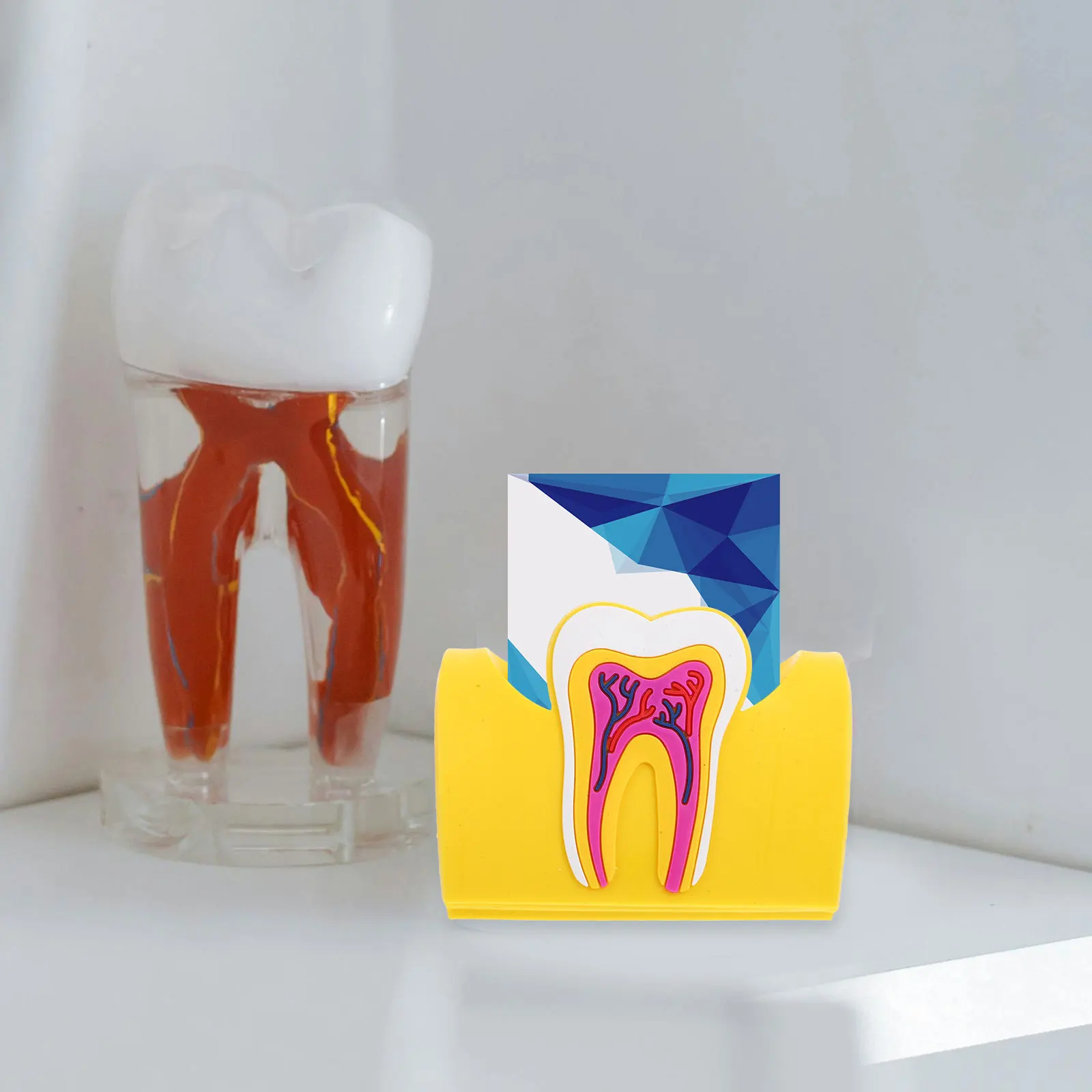 

Teeth Shaped Card Desk Card Holder Holders Desk ganizer Multi Display St for Cards Holder Gift Dental Office Supply