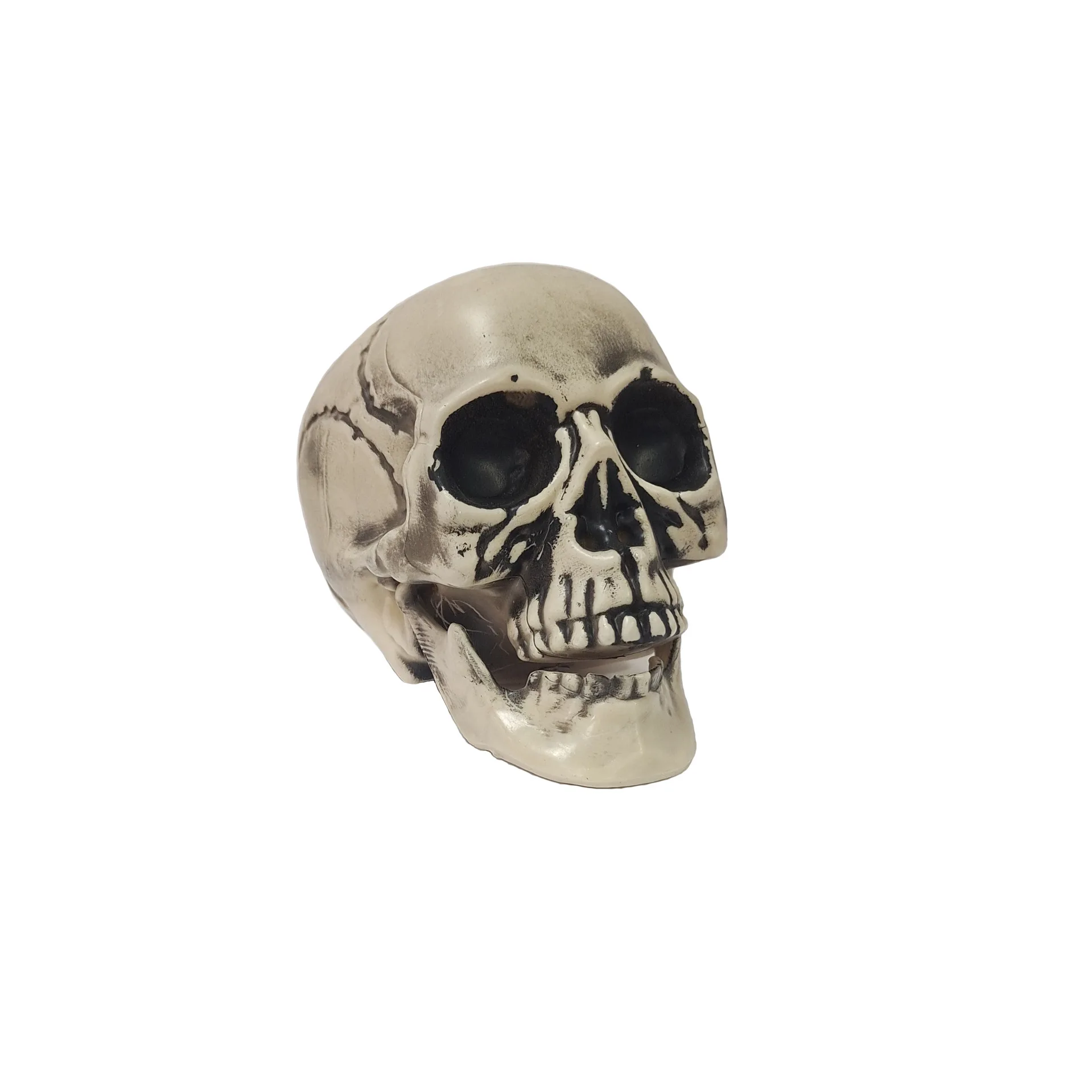 

Adult skull creative haunted house bar ornaments factory halloween skull props wholesale