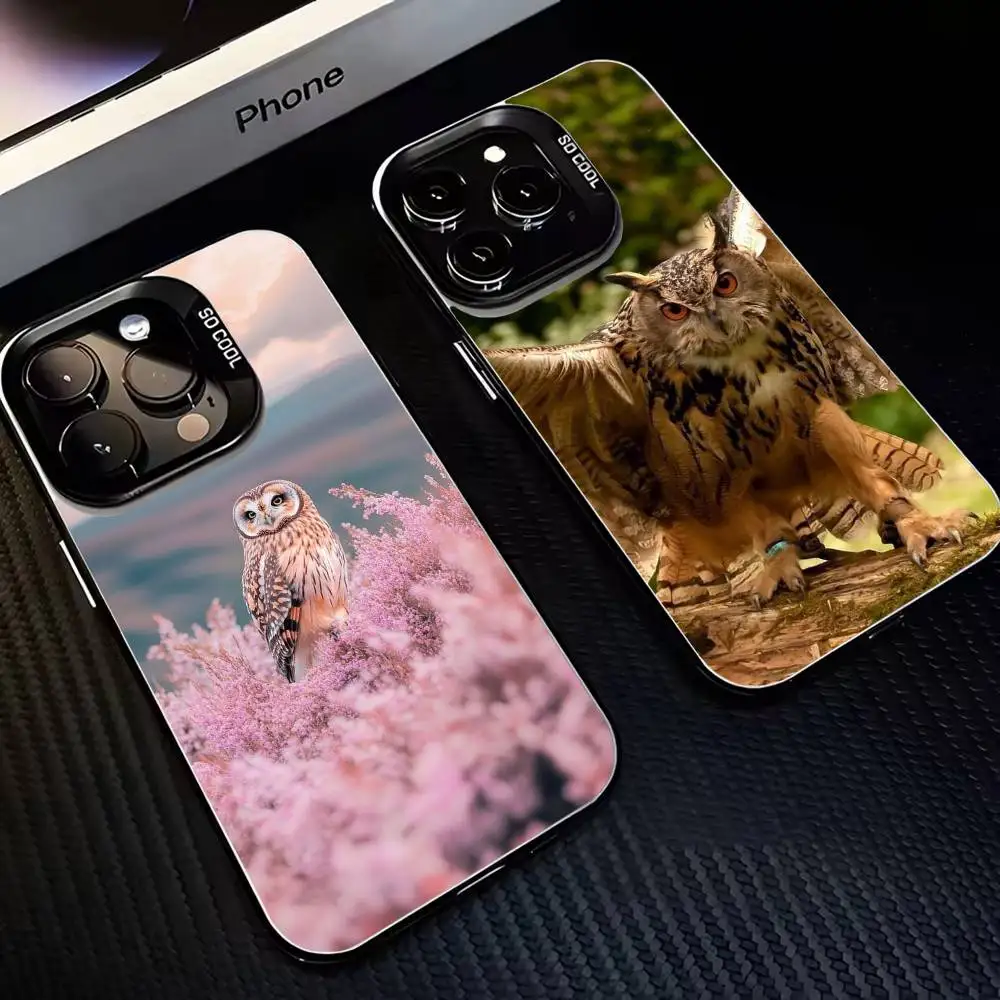 

Pet Cute Owl Phone Case For iPhone 16,15,14,13,12,11,Mini,Pro,MAX Black Matte Shockproof Cover