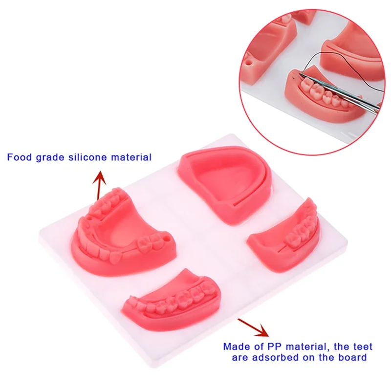 

Dental Silicone Training Model Oral/Gingival Suture Module Periodontitis Suture Surgical Practice Suture Teaching Practice Tool