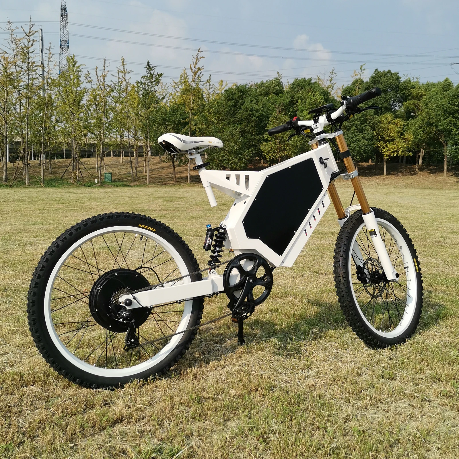 Mountain Bike 26 Three Wheeler Electric-Bike Electric Bike Cycle Electric Bike Electric Bicycle