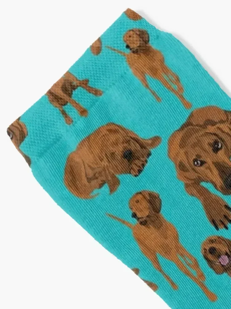 Redbone Coonhound on turquoise Socks Stockings sports stockings Toe sports designer Designer Man Socks Women's