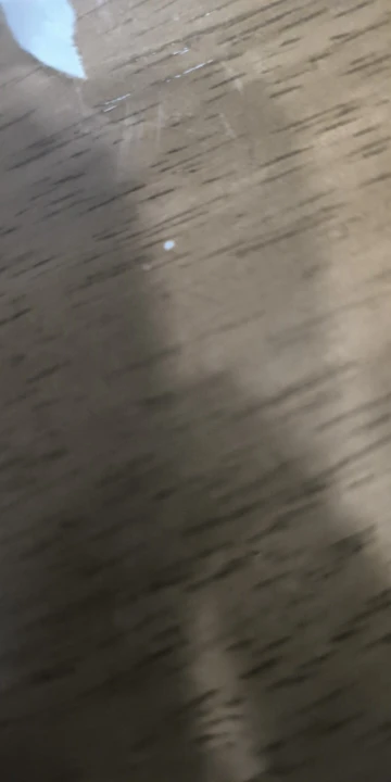 실물 포토 리뷰