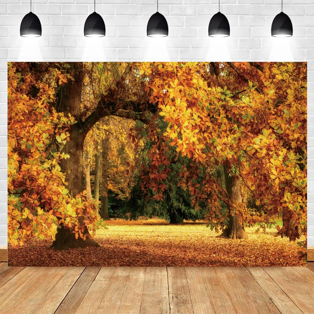 Autumn Scenery Photo Background Fall Forest Fallen Leaves Sunshine Nature Landscape Baby Portrait Backdrop Photography Props