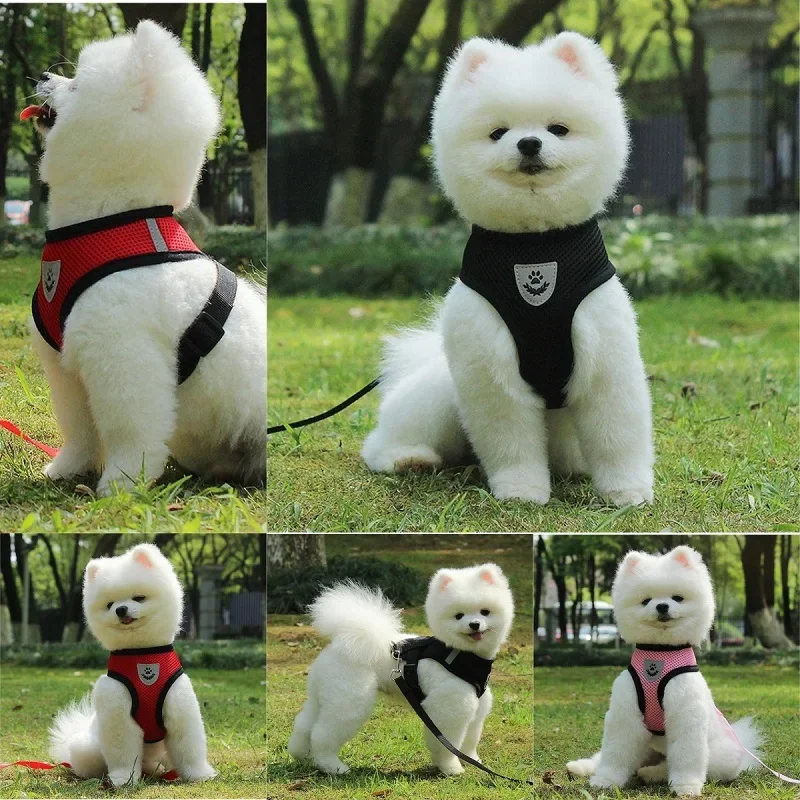 애완 동물 산책 고그 산책 고양이 가슴 스트랩, 야외 견인 로프 칼라, 통기성 메쉬 견인 로프, 신제품