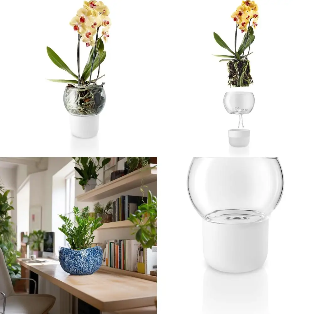 

Self-Watering 15cm Orchid Pot for Indoor Plants, Flowers, Herbs, and Vegetables - Maintains Health and Watering Efficiency