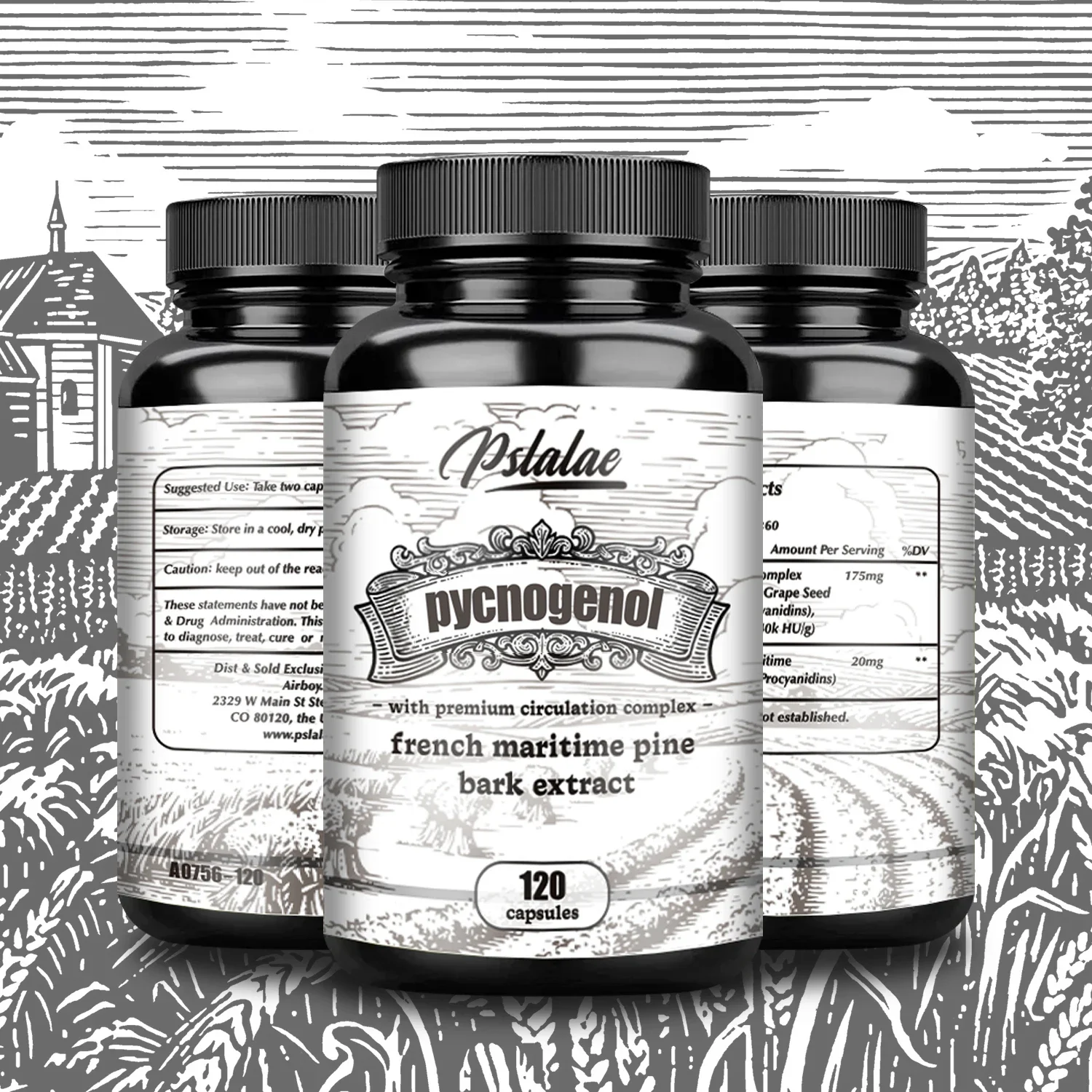 Pycnogenol French Ocean Pine Peel Extract - Improves Blood Flow and Circulation, Antioxidant - Vegetarian, Non GMO Supplement