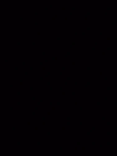 실물 포토 리뷰