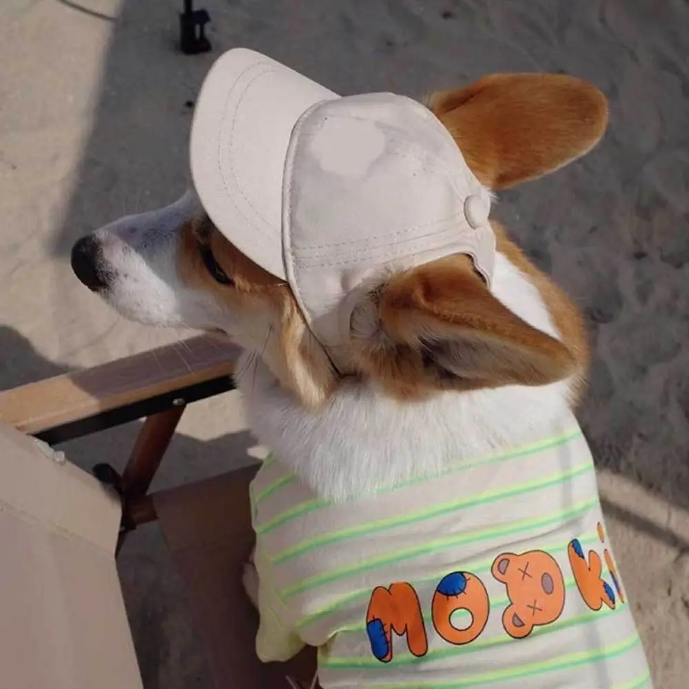 Casquette de baseball pour chien avec trous pour les oreilles, style cowboy, réglable, protection UV, mignonne, pour sports de plein air