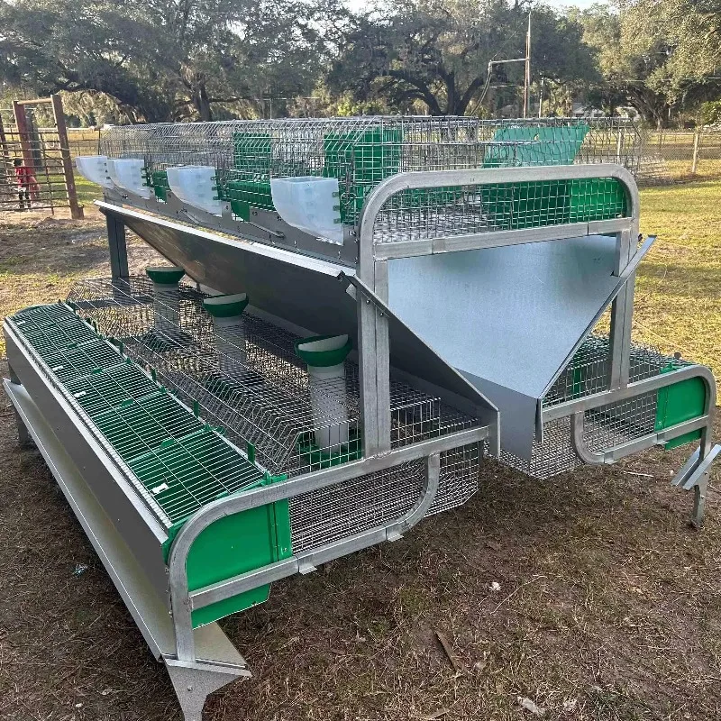 Jaula comercial para cría de conejos, 24 celdas, capa de batería para madre, alta calidad, venta directa de fábrica