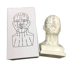 Head Acupuncture Model 20CM Chinese Traditional Medical High Definition Face Facial Acupoint Acupuncture Point Teaching Model