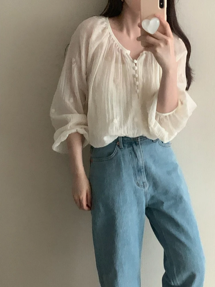 

Elegant Summer Long Sleeve Embroidered Chiffon Shirt Women's Loose Versatile Blouse Korean Style Lantern Sleeve round Neck Top
